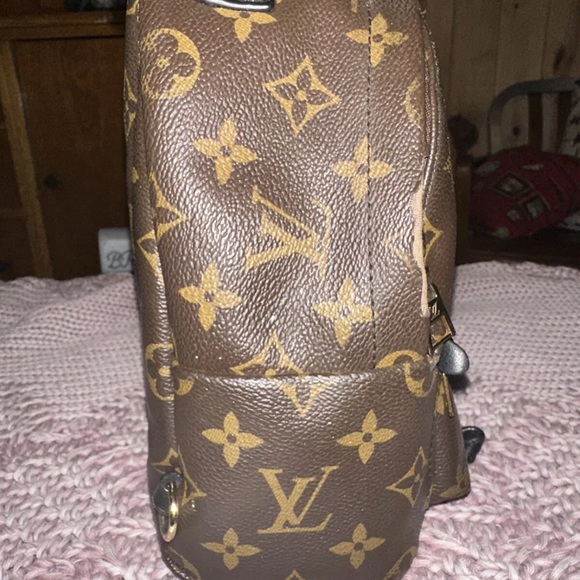 Authentic Louis Vuitton monogram Palm Springs mini backpack crossbody bag tote - Picture 4 of 16